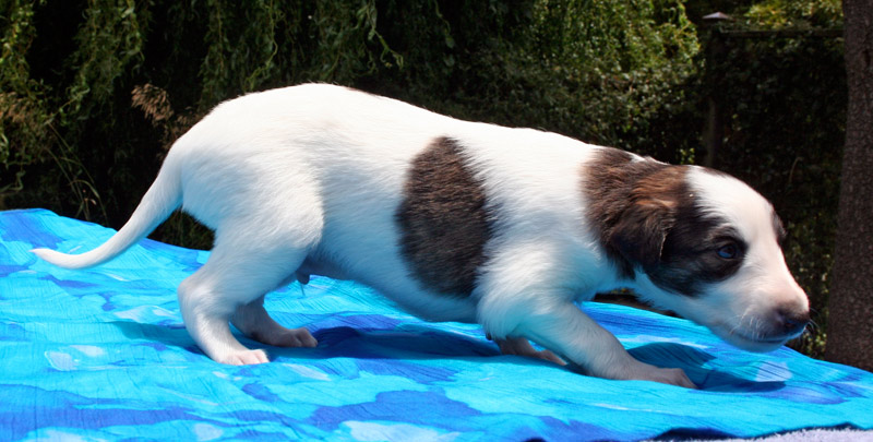 Surf Spots - Boy 1 Cruise